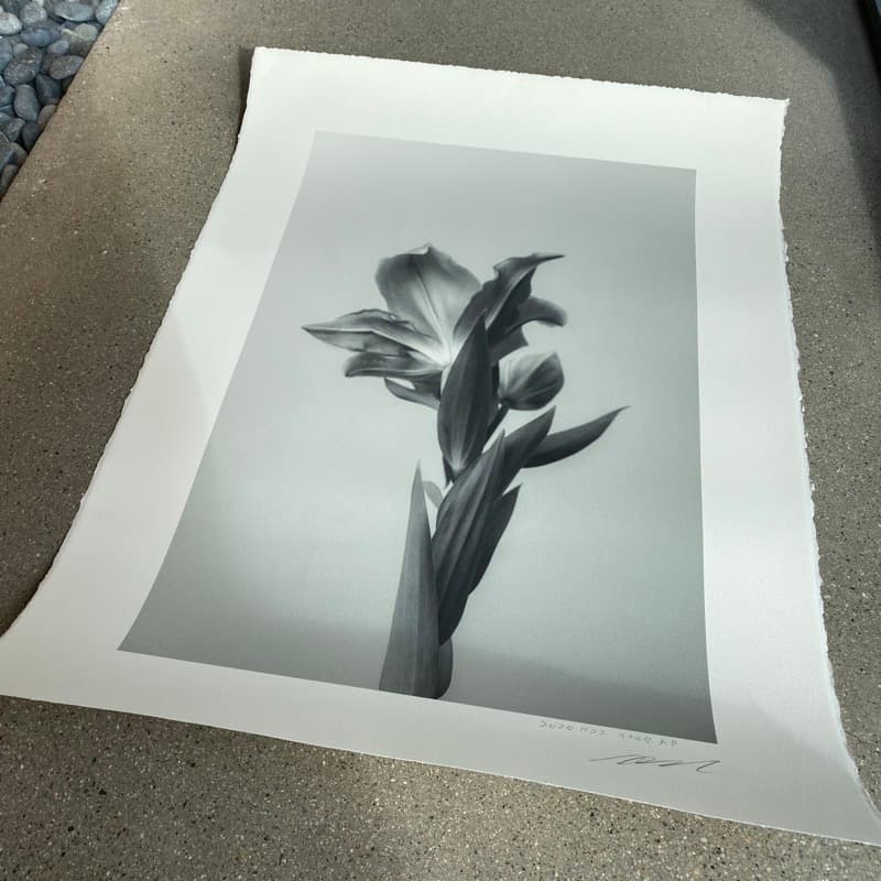 포스터 출력 아르쉐 데클엣지 코튼 판화지 소량 인쇄 출력