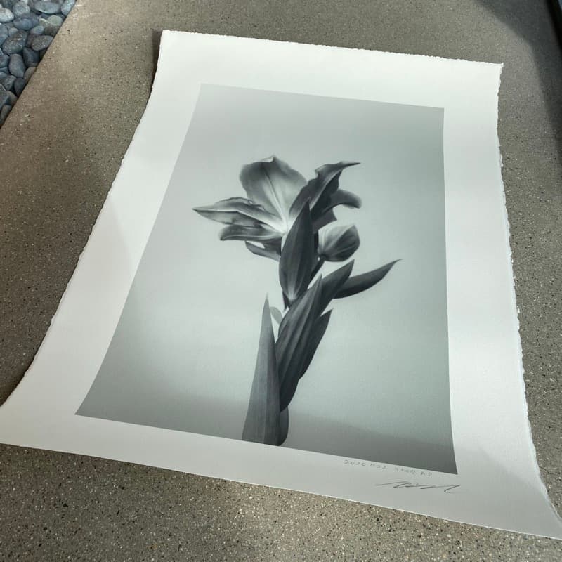 아르쉐 데클엣지 코튼 판화지 사진 그림 포스터 아트 프린트 작품 포스터 인쇄