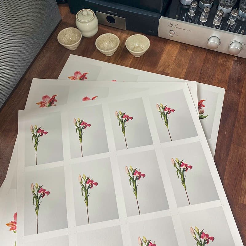 감성 인테리어 엽서 소량 주문 제작 웨딩 그림 전시회 띤또레또 10X15cm 20장